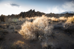 Alabama Hills 6850