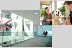 Autodesk