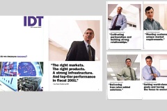 IDT Annual Report