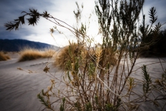 Death Valley 6242