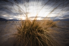  Death Valley 6305