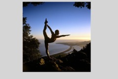 Jason Winn - Yoga Journal Calendar