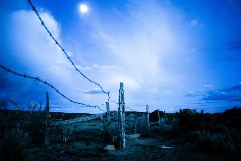 SM-Tropic-Fence-7225