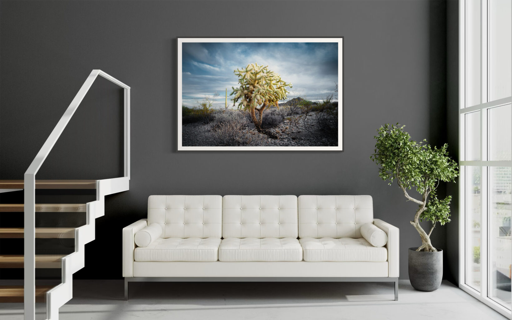 Organ P Cholla 7715