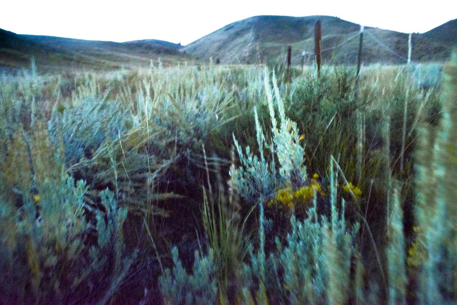Brush, Idaho 7302